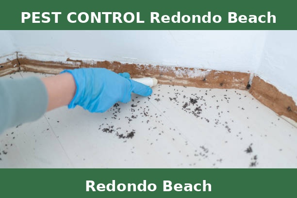 PEST CONTROL Redondo Beach